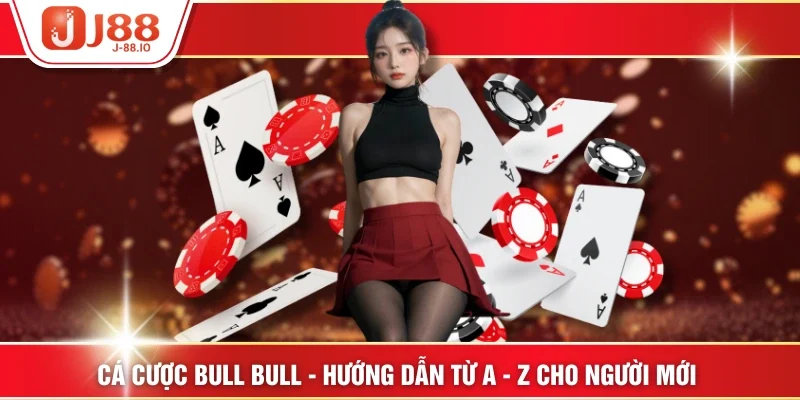 Cá Cược Bull Bull - Hướng Dẫn Từ A - Z Cho Người Mới